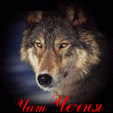 ��� �����